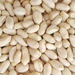 blanched peanut